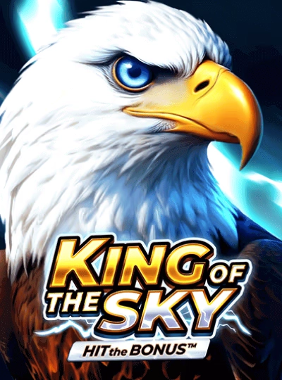 Book of Dead slot cover